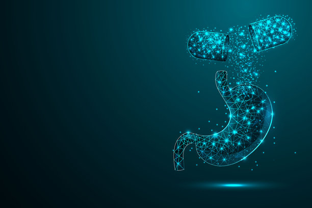 低多边形风格的胃部器官三维图，其中包含胶囊、药丸和药物。采用线框几何设计。概念涉及胃部护理、癌症、疼痛、科学与技术。矢量插画。图片下载