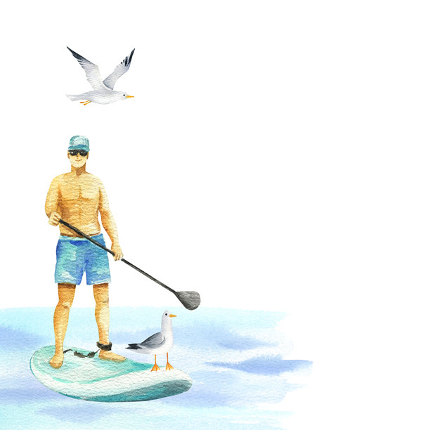 年轻男子在SUP板上游泳，海鸥伴随。夏季假期，桨板冲浪者漂浮在海水中，水彩风格的独立插画。现代运动户外活动剪贴画，简约素描风格。图片下载