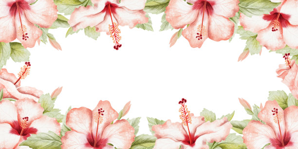 水彩热带花卉横幅模板，带有芙蓉花和叶子，手绘插画。逼真的夏季花园植物剪贴画，适合旅行和度假设计。图片下载