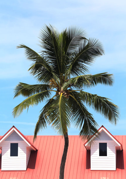 佛罗里达礁岛群伊斯兰诺拉的码头、日落、游艇、海滩和灯塔的航拍照片。茶桌礁和伊斯兰诺拉。图片下载