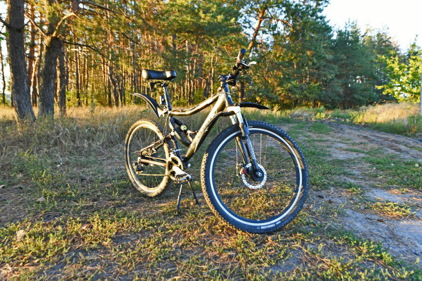 山地自行车在森林中骑行。图片下载