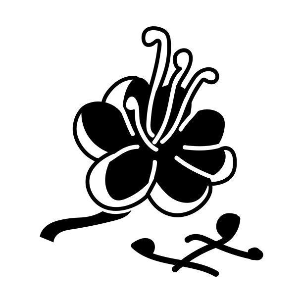 藏红花和干香料搭配花朵与枝条。另附手绘线条勾勒的剪影。厨房、产品插画。复古风格。图片下载