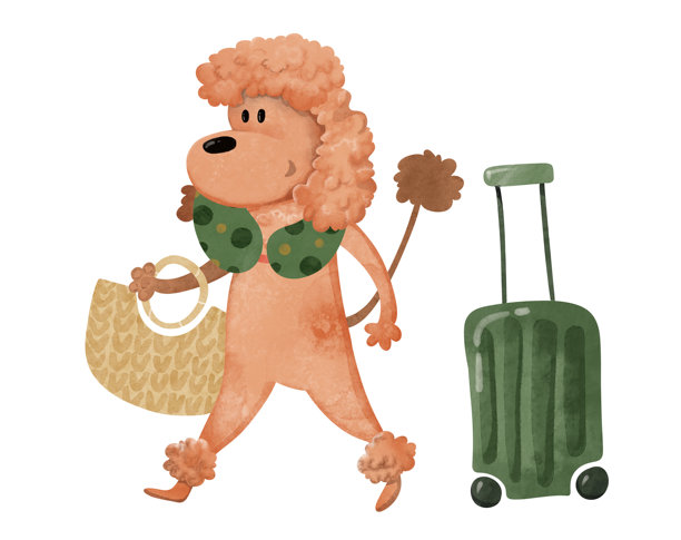 可爱的卡通贵宾犬，带着行李箱和钱包，正在行走，异想天开的儿童插画。非常适合儿童读物、旅行海报、亲子旅行、网站、旅游、教育印刷品。图片下载