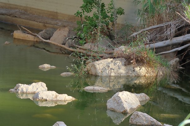 公园池塘里的石头，照片特写图片下载