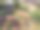 城市公园里色彩缤纷的儿童游乐场鸟瞰图，有绿草和砖砌小径——一个安全、充满活力的家庭、教育和社区项目空间图片下载