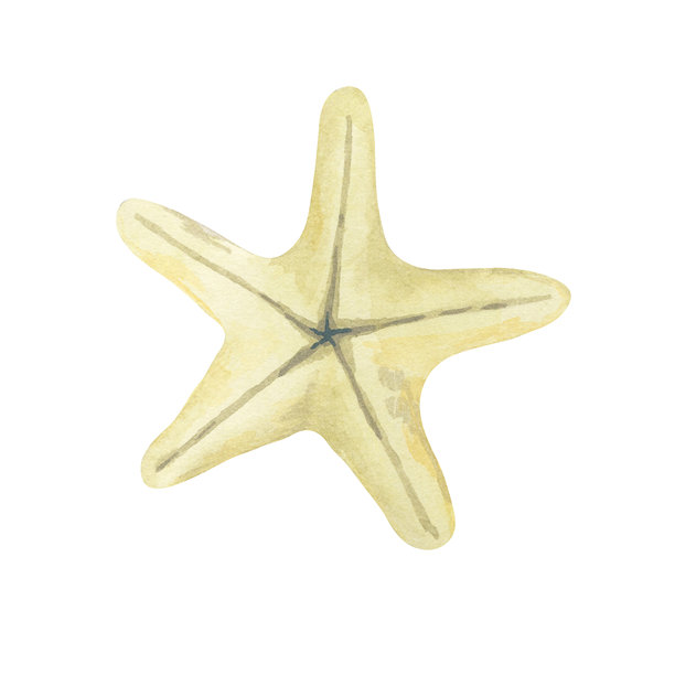 黄色海星水彩插画，手绘海岸线剪贴画。非常适合航海请柬、纺织品、包装纸、夏季文具、海报、贴纸和数字剪贴簿项目。图片下载