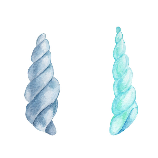 蓝绿色调的两个螺旋海螺，水彩插画，手绘。非常适合用于夏季邀请函、织物图案、包装纸、贴纸和航海主题的数字剪贴簿设计。图片下载