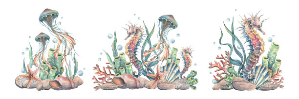 海马、水母、珊瑚、贝壳和漂流瓶的剪贴画集，采用海洋色调，手绘水彩插画，适用于剪贴簿、请柬、数字设计和夏季海洋装饰。图片下载