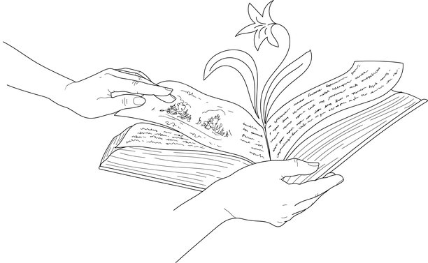两只手捧着一本打开的书，书页中绽放出一朵花的填色页。象征知识与灵感的插画。图片下载