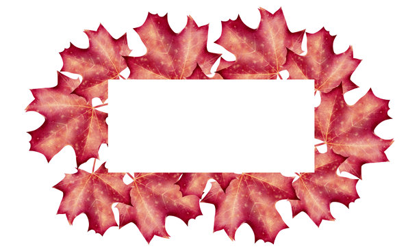 枫叶水彩插画边框图片下载