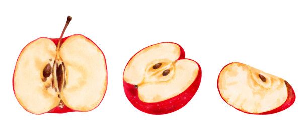 红苹果部分的水果套装。健康饮食。植物水彩插画。手绘孤立艺术。用于食品包装设计、菜单和果汁的剪贴画。收获，生产图片下载