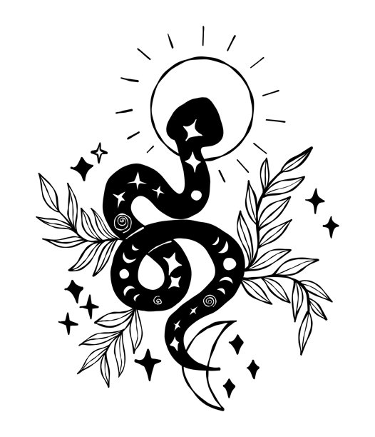 神秘的蛇与太阳、月亮和植物叶子。纹理手绘涂鸦。占星、玄学和万圣节设计的草图，象征魔法和转变。矢量插画。非人工智能图片下载
