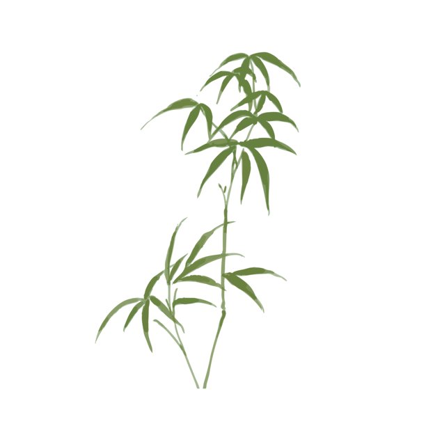 中国风水墨竹子插画图片下载