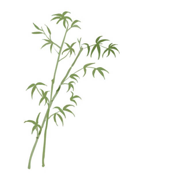 中国风水墨竹子插画图片下载