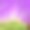 一棵在宁静风景中哭泣的紫色花树的印象派数字绘画。柔和天空下的连绵绿丘。异想天开、梦幻般的彩色自然插画，适合用作背景。图片下载