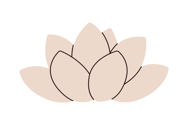 极简风格的莲花插画，采用柔和的米色调。适用于瑜伽、健康、水疗和精神品牌。图片下载