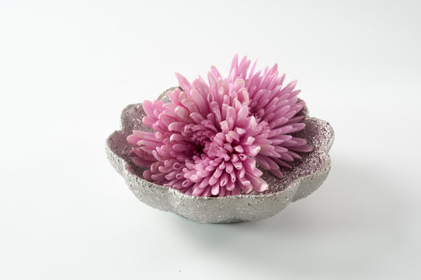 紫色的可食用菊花图片图片下载