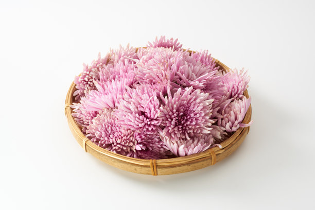 紫色的可食用菊花图片图片下载