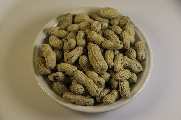 一张照片，一个盘子装着盐花生，放在一张白桌子上图片下载