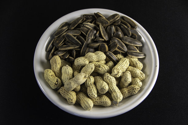 照片，混合盐花生和瓜子（葵花籽）的俯视图，盛在盘子里，作为零食的概念。图片下载