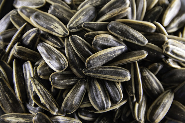 印尼葵花籽（Kuaci）特写图片，一盘近景 fotografías图片下载
