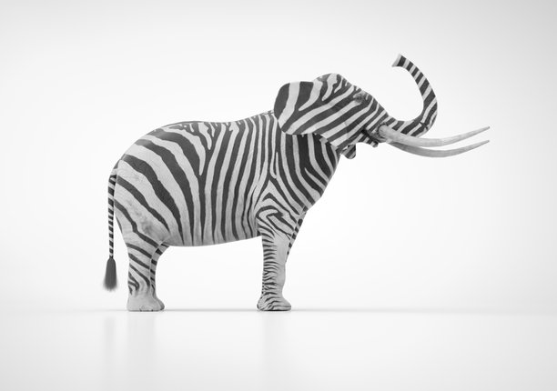 大象斑马条纹的独特动物艺术插画图片下载