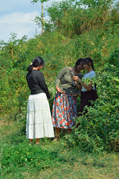三个十几岁的女孩一边拿着花，一边分享手机里的照片。图片下载