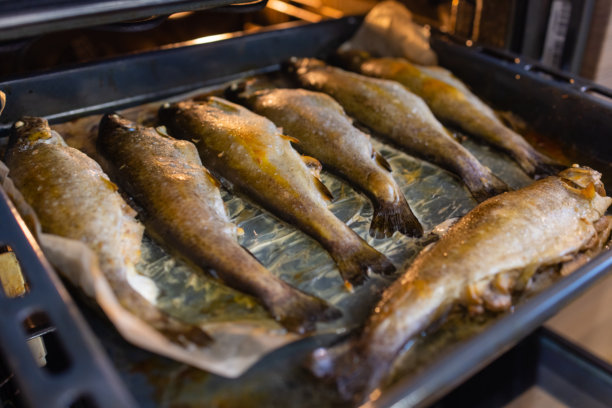 烤架或烤箱中大量的熟炸烤肉或烤鱼放在金属托盘上。适合餐厅或站立式餐宴的照片。派对上的美味佳肴。图片下载