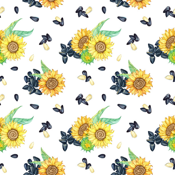 无缝图案背景。无尽背景模板。向日葵花头，绿叶。黑色有机葵花籽，健康食品，油原料。手绘水彩插画图片下载