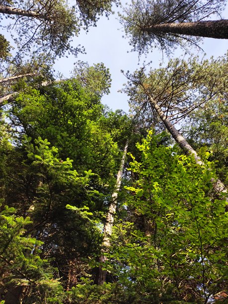 令人惊叹的自然风光图片图片下载