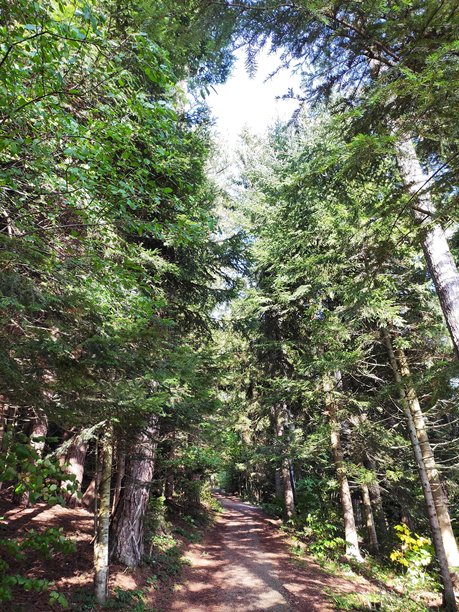 令人惊叹的自然风光图片图片下载