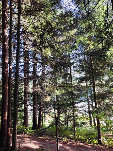 令人惊叹的自然风光图片图片下载