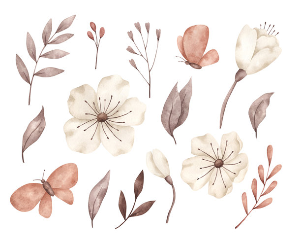 水彩手绘波西米亚风棕米色树叶、白花、浆果的剪贴画。可爱的植物插画。图片下载
