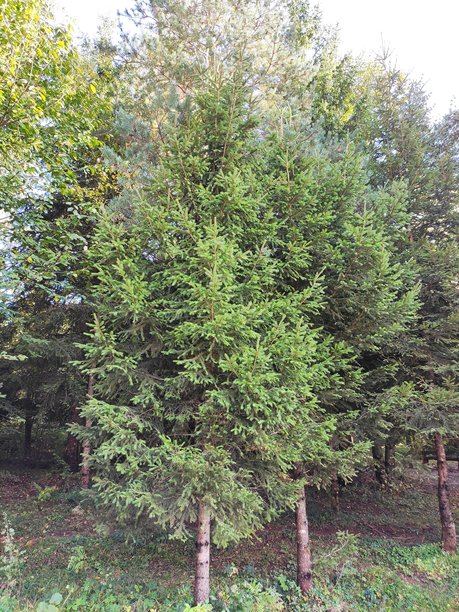 惊艳的自然风光图片图片下载