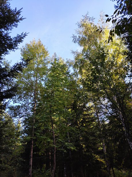 壮丽的自然风光图片图片下载