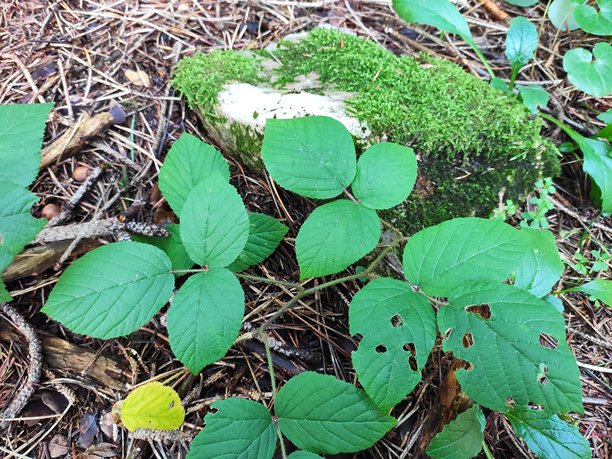 令人惊叹的自然风光图片图片下载