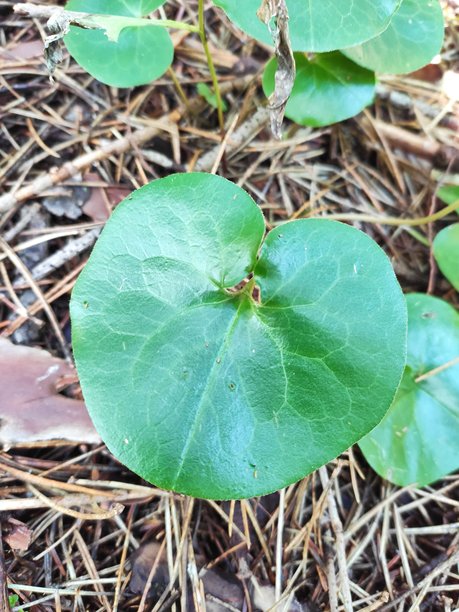 令人惊叹的自然风光图片图片下载