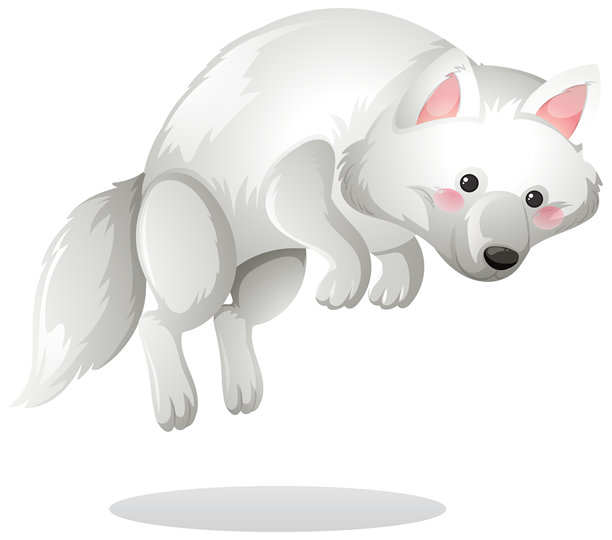 北极狐空中跳跃矢量插画图片下载