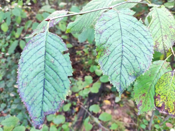 令人惊叹的自然风光图片图片下载