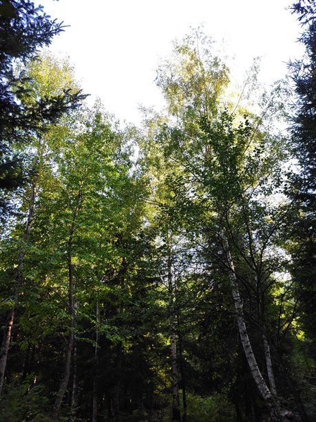 令人惊叹的自然风光图片图片下载