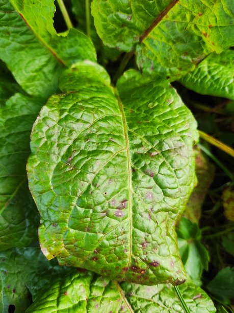 令人惊叹的自然风光图片图片下载