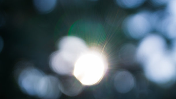 抽象的模糊照片，带有阳光的耀斑。模糊的绿色散景背景。图片下载