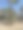 自然界中的野生动物图片下载