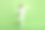 一名快乐积极的年轻黑人女孩，脸上带着兴奋的笑容，从侧面拍摄了她的全身照片，背景为绿色。图片下载