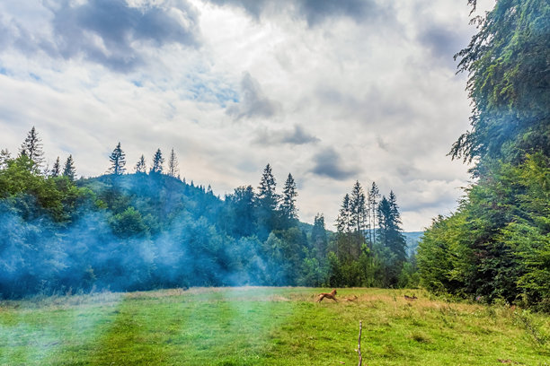 风景，森林，喀尔巴阡山脉，欧洲自然照片，东欧图片下载
