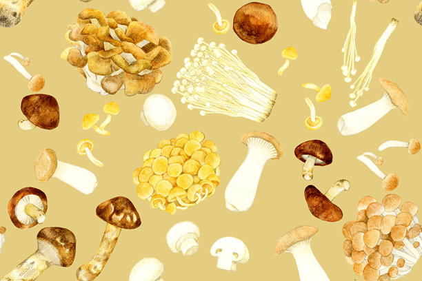 可食用的蘑菇无缝图案。手绘水彩蔬菜插画背景素材。图片下载