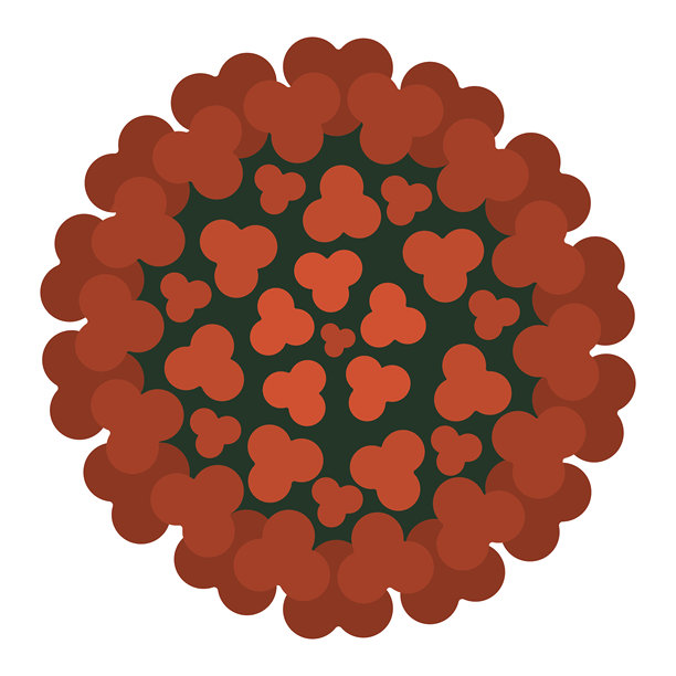 寨卡病毒，圆形的红色托戈病毒，通过雌性蚊子叮咬传播，扁平风格插画图片下载