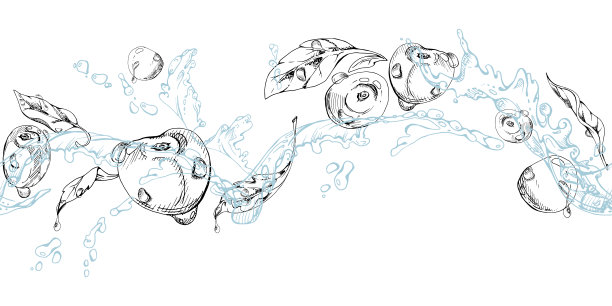 甜酸樱桃在水花飞溅中，带有水滴，手绘矢量墨水，成熟的线条花园浆果和叶子。餐厅咖啡馆菜单、农贸市场、婚礼的无缝横幅插画。图片下载