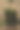 森林中的长满苔藓的树桩图片下载