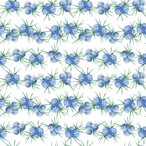 手绘水彩插画风格的重复杜松子图案，蓝色浆果配绿色叶子，均匀排列，构成无缝背景。非常适合用作包装纸、纺织品、包装、数字纸和文具。图为手绘水彩剪贴画无缝图案，蓝色杜松子重复排列，绿叶均匀分布。非常适合用作包装纸、纺织品、包装、数字纸和文具。图片下载